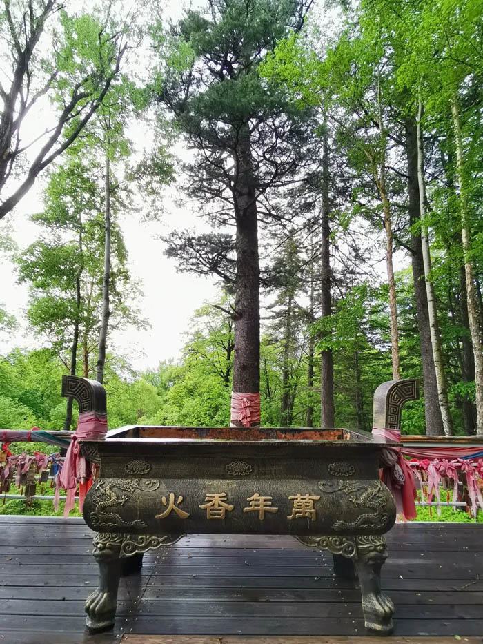 【夢(mèng)想聚團(tuán)隊(duì) 團(tuán)隊(duì)創(chuàng)輝煌】西微雅團(tuán)建活動(dòng)——長(zhǎng)白山之旅(圖4) 【夢(mèng)想聚團(tuán)隊(duì) 團(tuán)隊(duì)創(chuàng)輝煌】西微雅團(tuán)建活動(dòng)——長(zhǎng)白山之旅(圖4)