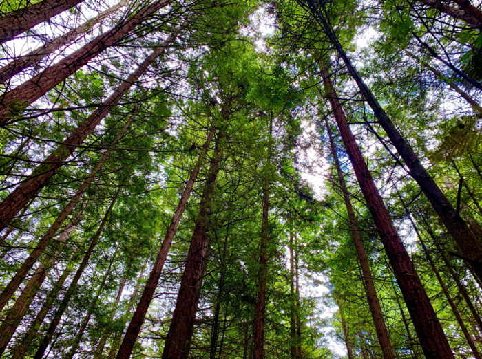 【夢(mèng)想聚團(tuán)隊(duì) 團(tuán)隊(duì)創(chuàng)輝煌】西微雅團(tuán)建活動(dòng)——長(zhǎng)白山之旅(圖18) 【夢(mèng)想聚團(tuán)隊(duì) 團(tuán)隊(duì)創(chuàng)輝煌】西微雅團(tuán)建活動(dòng)——長(zhǎng)白山之旅(圖18)