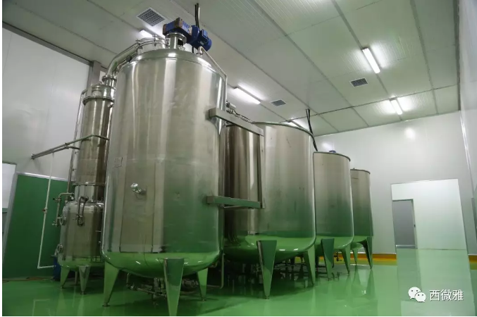 珍貴的果脯-藍莓干(圖12) 珍貴的果脯-藍莓干(圖12)