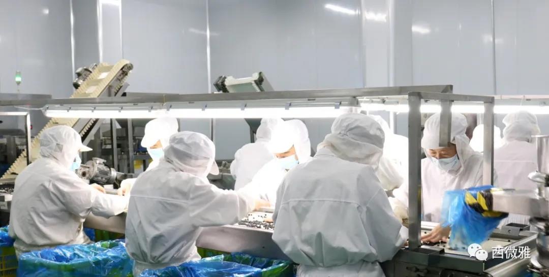 喬遷之喜——西微雅喬遷圓滿結(jié)束現(xiàn)已正式投入生產(chǎn)(圖6) 喬遷之喜——西微雅喬遷圓滿結(jié)束現(xiàn)已正式投入生產(chǎn)(圖6)