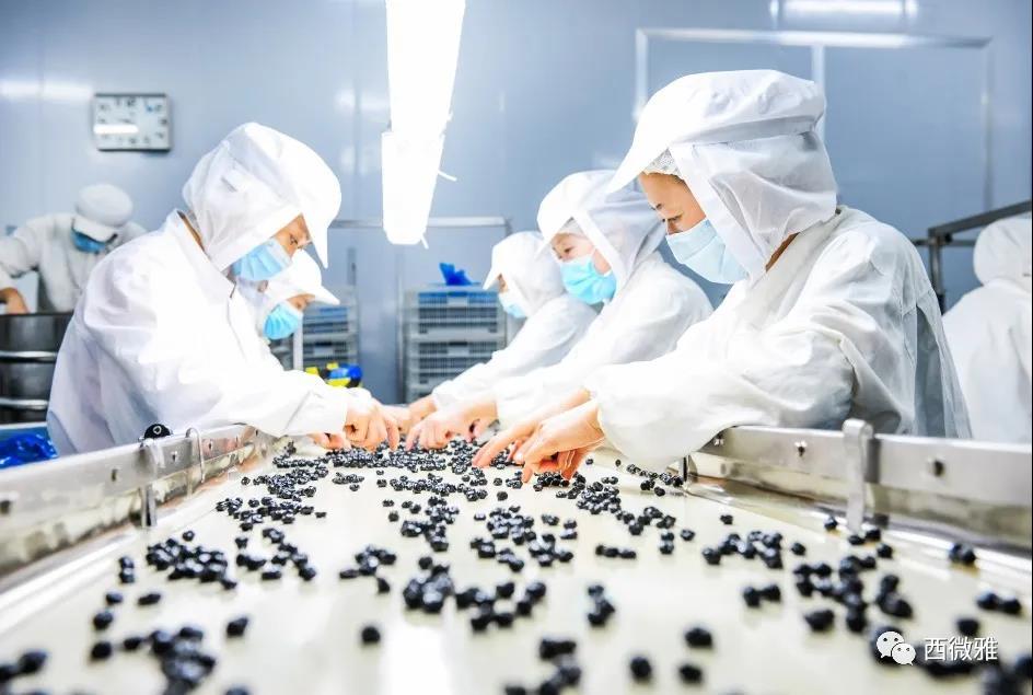 喬遷之喜——西微雅喬遷圓滿結(jié)束現(xiàn)已正式投入生產(chǎn)(圖8) 喬遷之喜——西微雅喬遷圓滿結(jié)束現(xiàn)已正式投入生產(chǎn)(圖8)