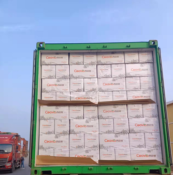 為何松子仁市場批發(fā)價上漲，松子仁的功效與作用(圖3)