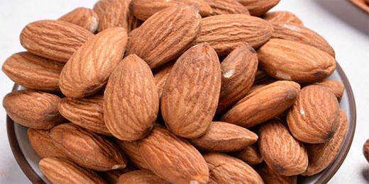 扁桃仁片 扁桃仁片